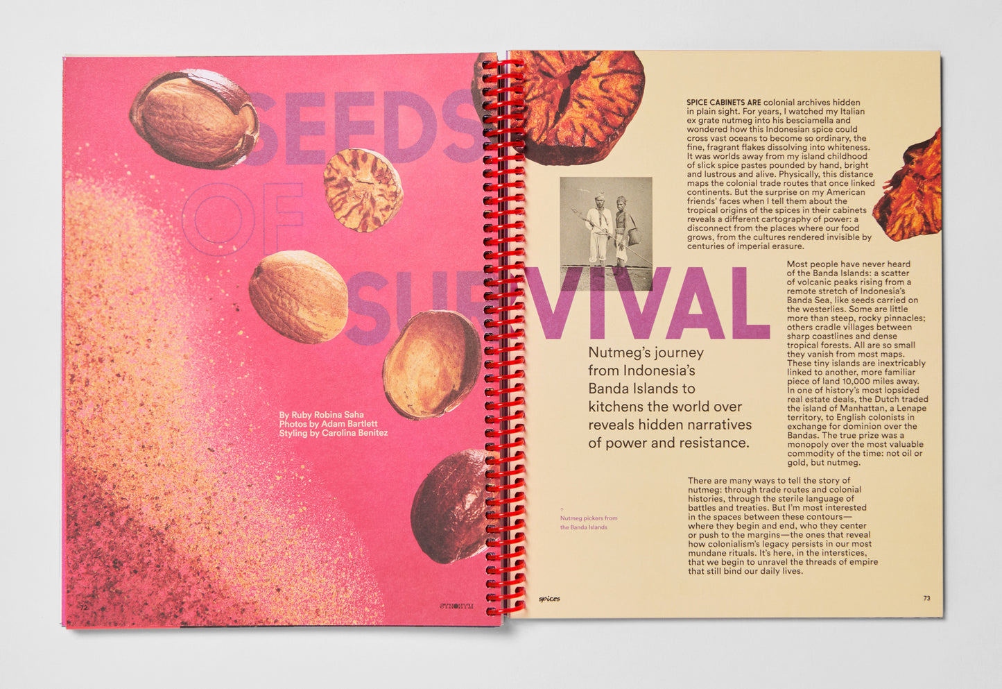 Issue 3: Spices