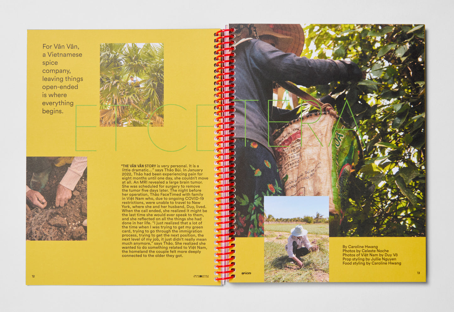 Issue 3: Spices