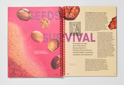 Issue 3: Spices INTERNATIONAL
